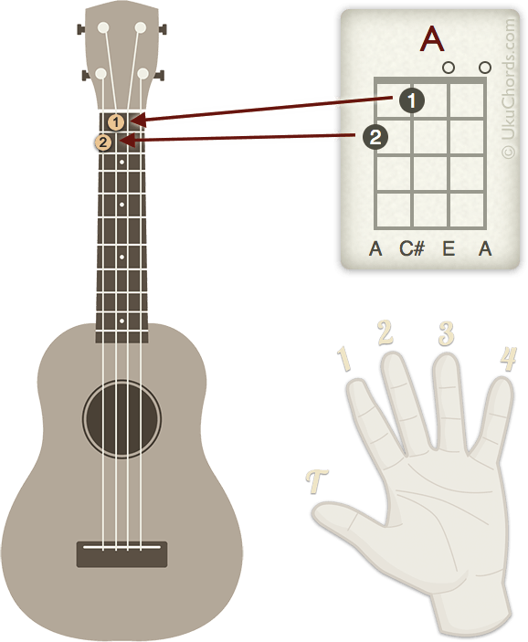 HOW TO READ UKULELE CHORD DIAGRAMS