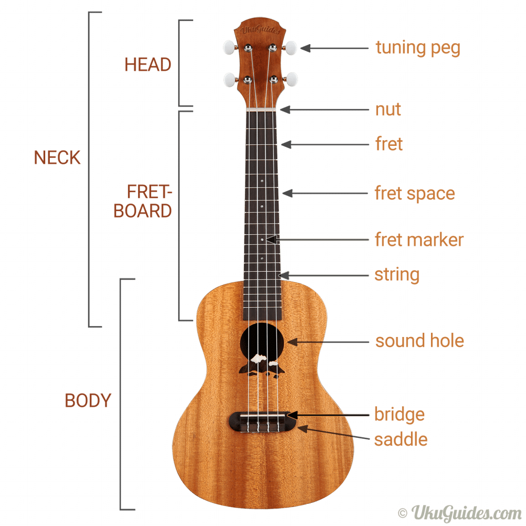 PARTS OF A UKULELE EXPLAINED