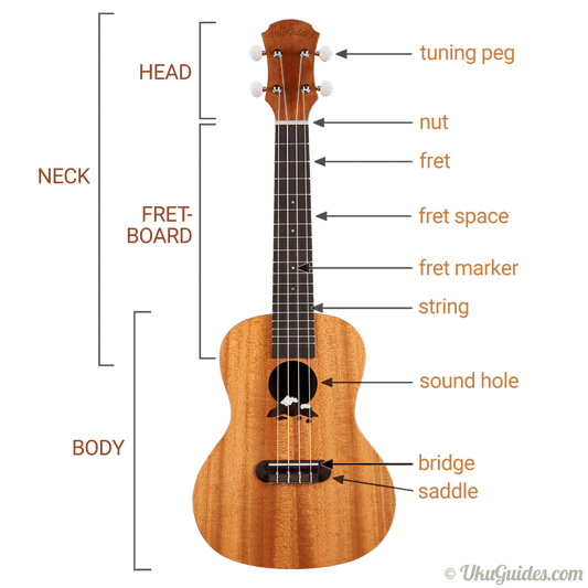 PARTS OF A UKULELE EXPLAINED